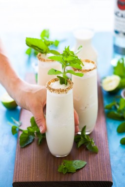 Toasted-Frozen-Coconut-Mojitos-7