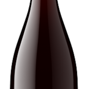 Bold Wine Co. Pinot Noir – 750ML