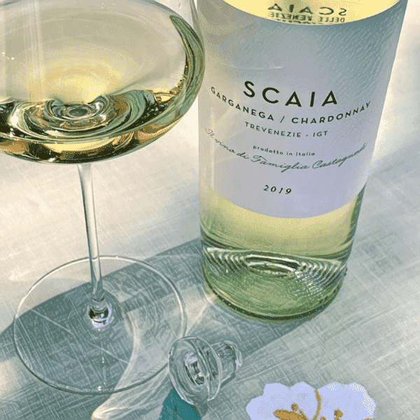Scacia